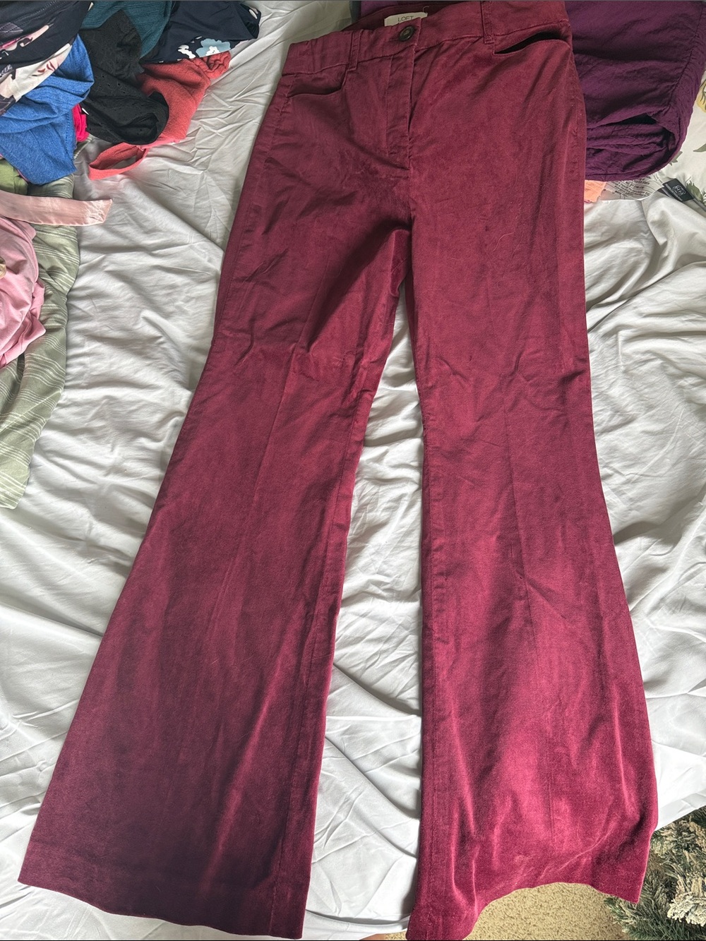 LOFT Burgundy Wide-Leg Pants